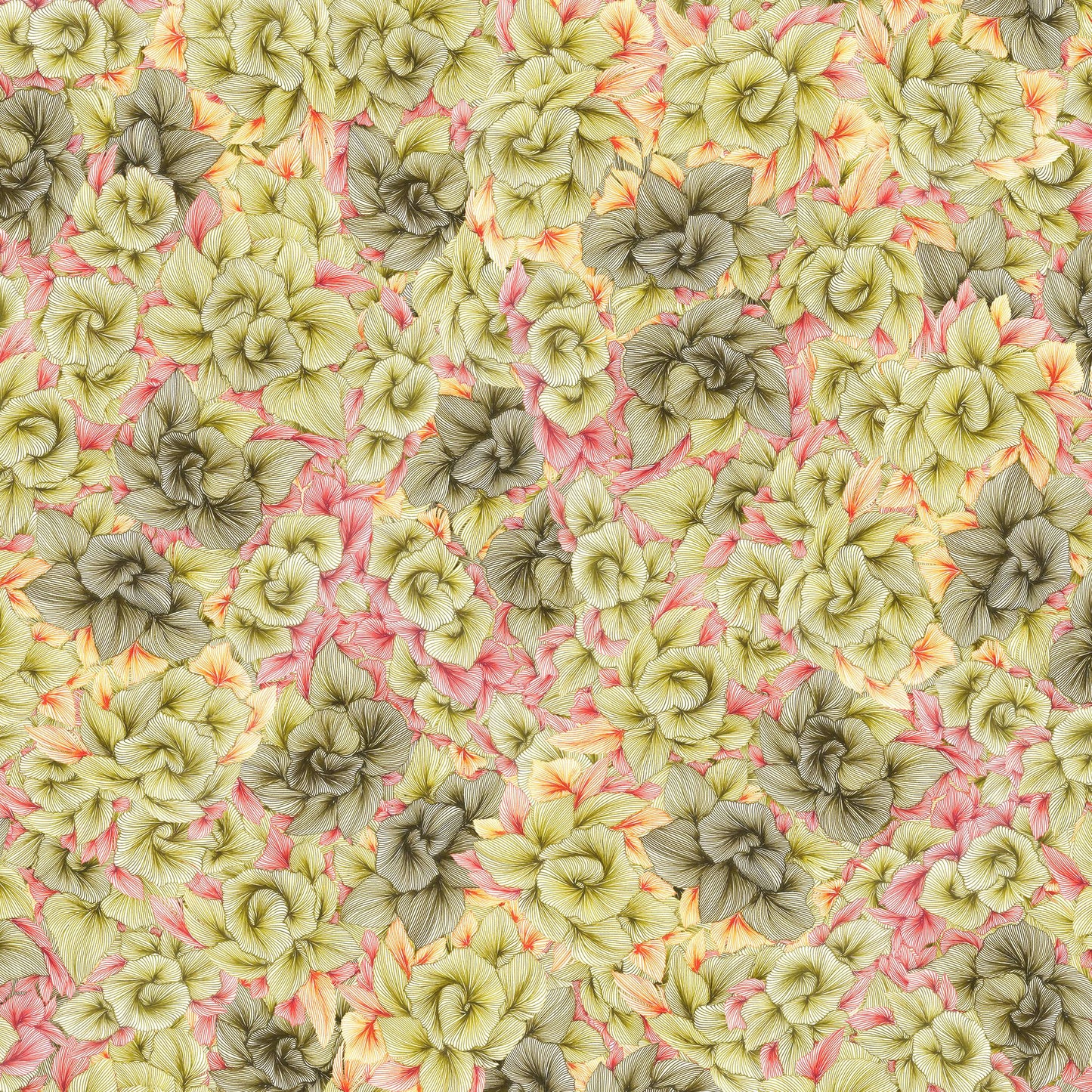 Kelly Carnation Curtains