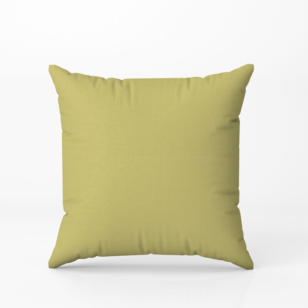 Outside the box - Cushion Cover