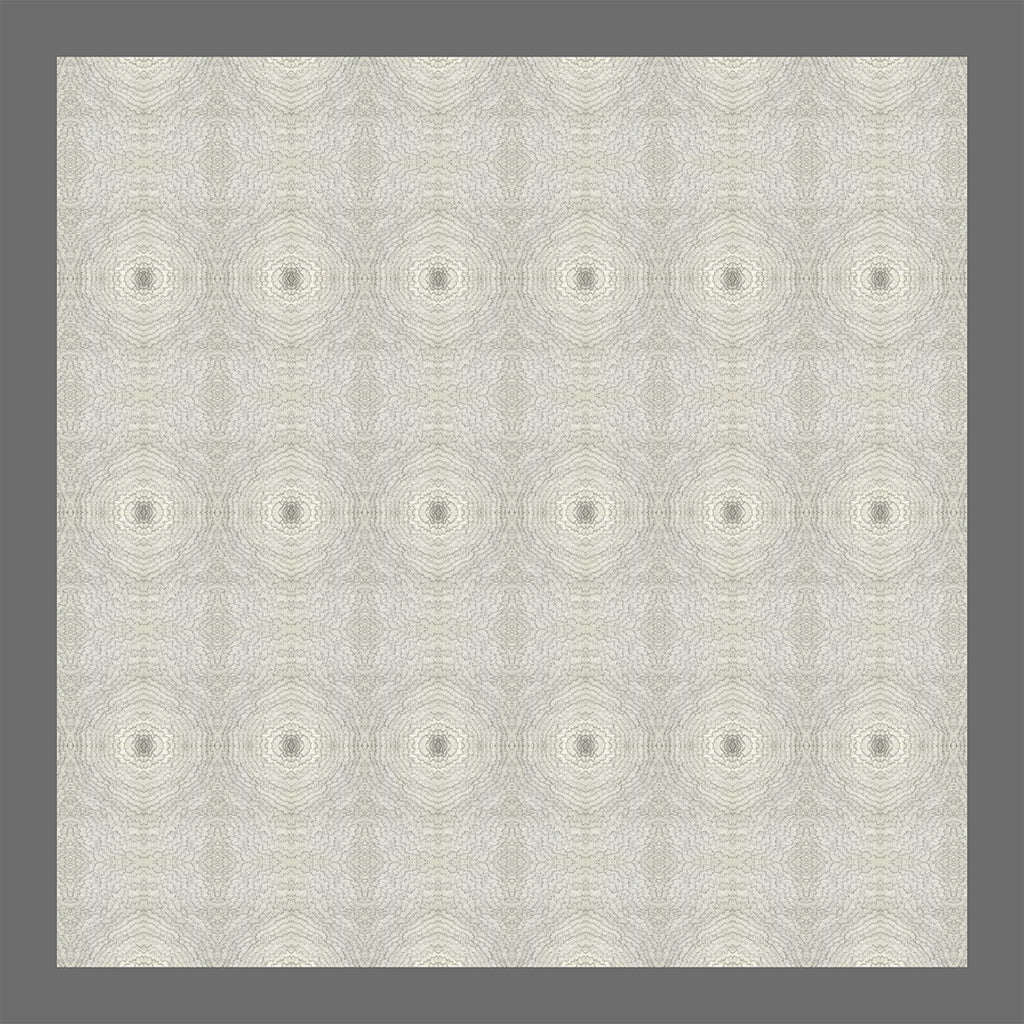 Stepwell - Woman Scarf