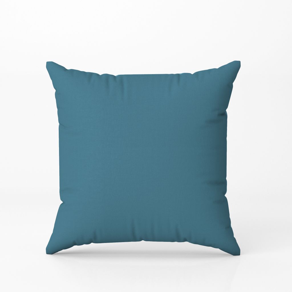 Blue Zen Art - Cushion Cover