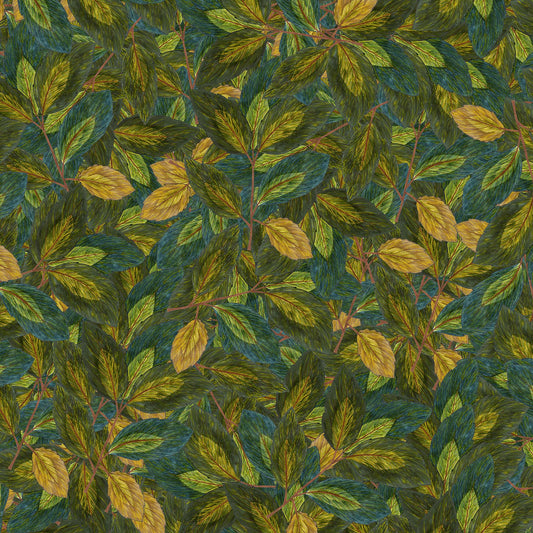 Forest Floor Modal Silk Saree