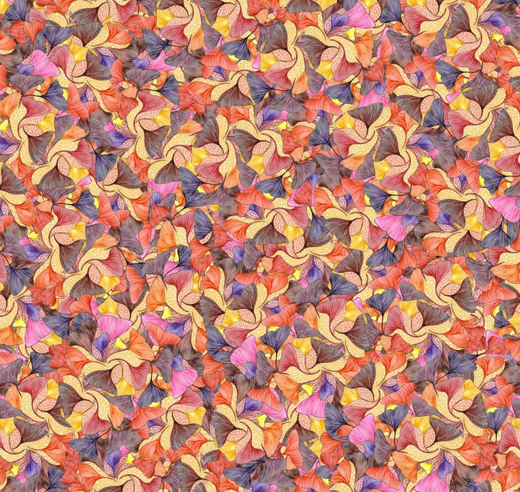 Dusk to Dawn Dola Silk Saree