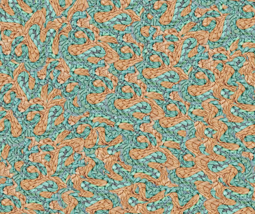 Rust Lagoon Dola Silk Saree