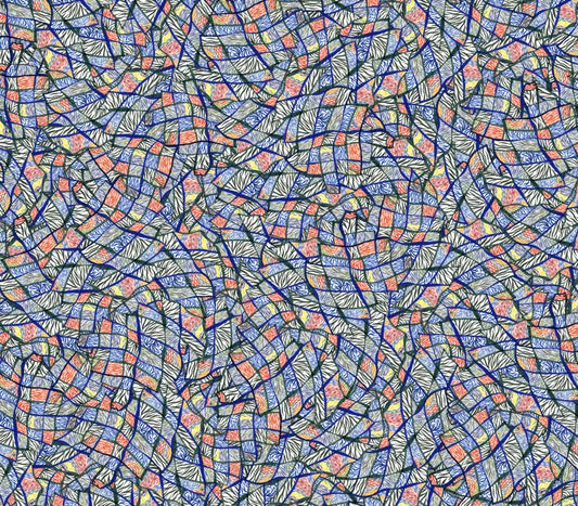 Cartography Tusser Silk Saree