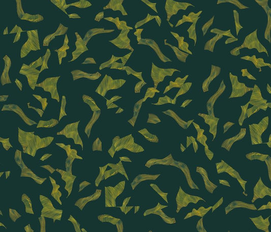 Avocado Dola Silk Sareee