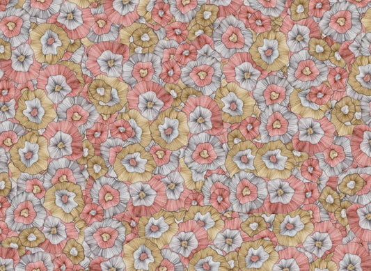 Dahlia Modal Silk Saree