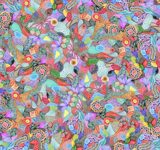 Rainbow Flurry Dola Silk Saree